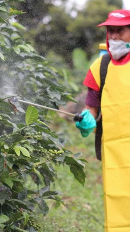 Fumigación